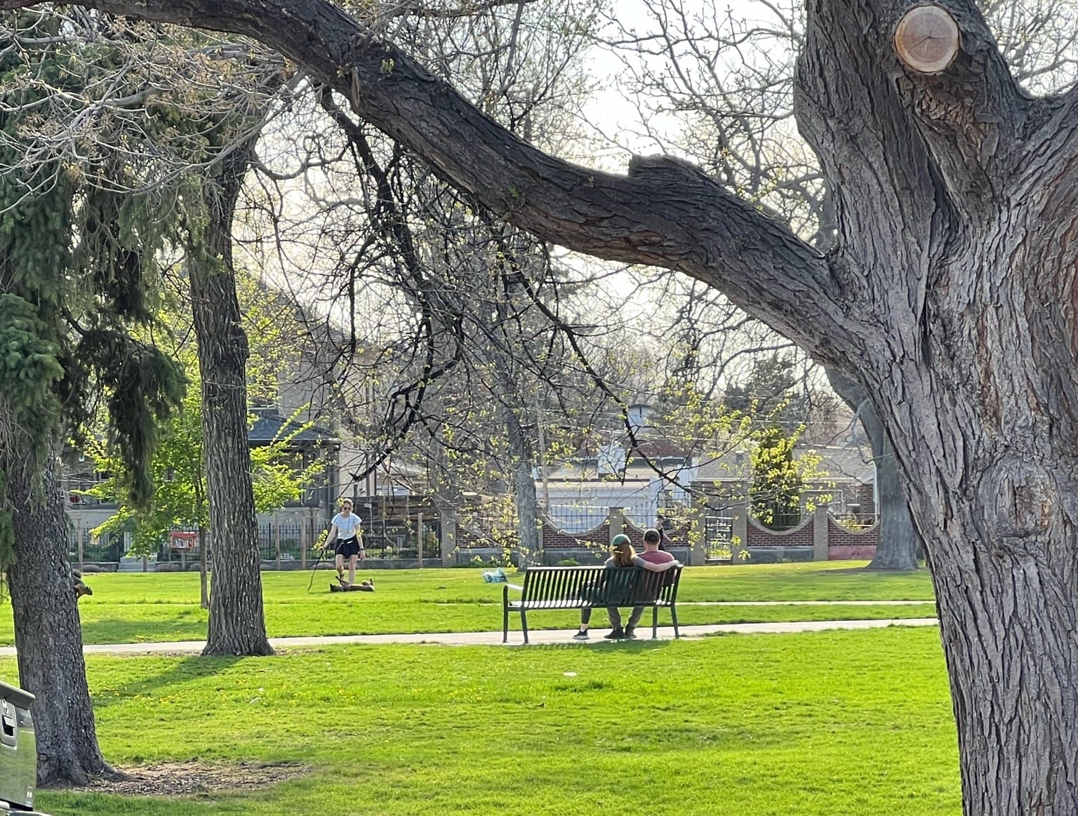 Sunnyside Parks Enhancements Denver Park Trust